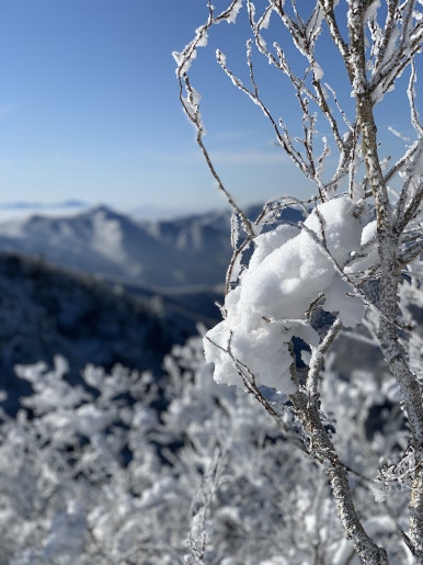 덕유산식품 이미지