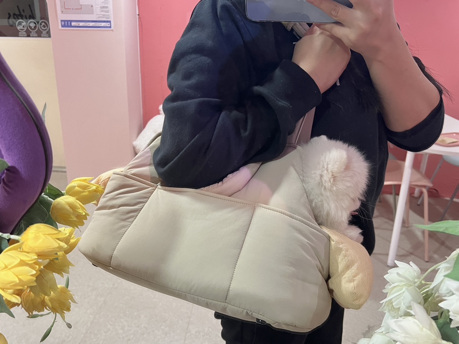 프롬위니 이미지