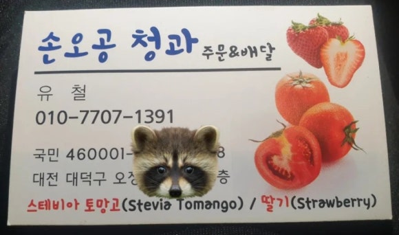 손오공청과 이미지