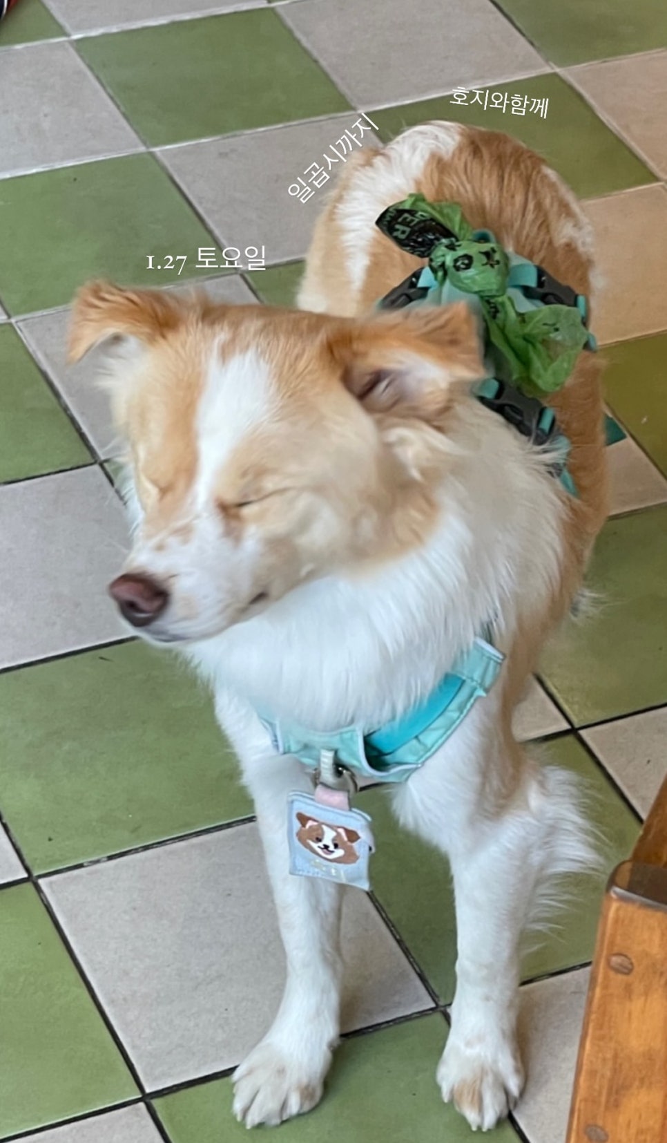 종이숲 이미지