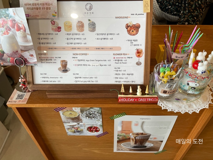 다홍연화 이미지
