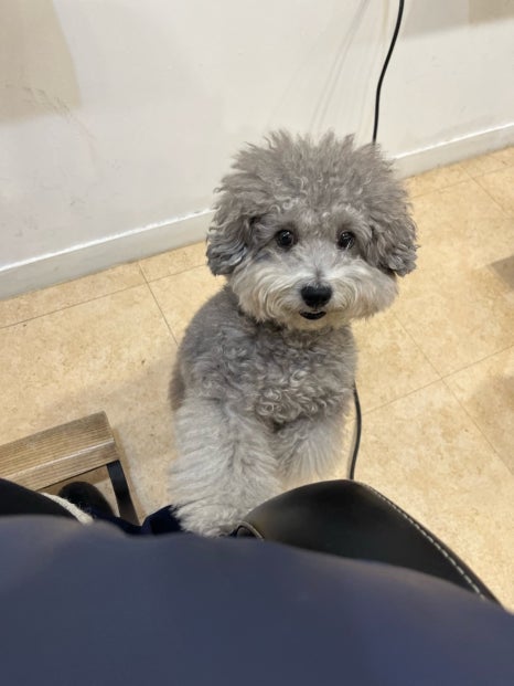 도오나헤어 이미지