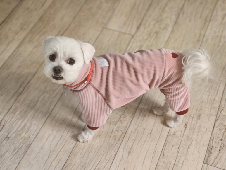 동이옷수선 이미지