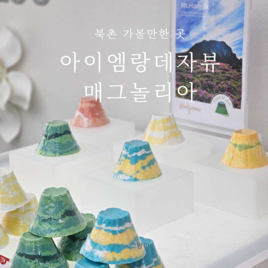 아이엠랑데자뷰북촌매그놀리아점 이미지