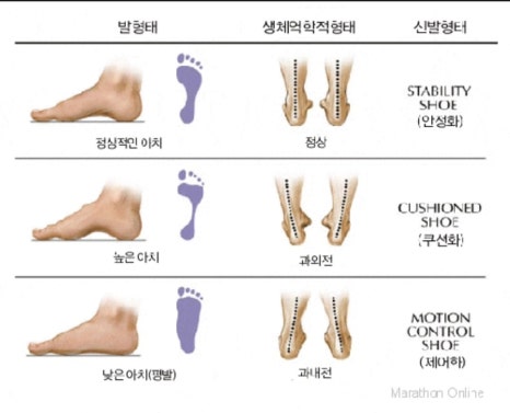 유핏 이미지