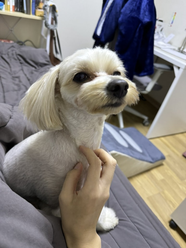 (주)홍대오마카세 이미지