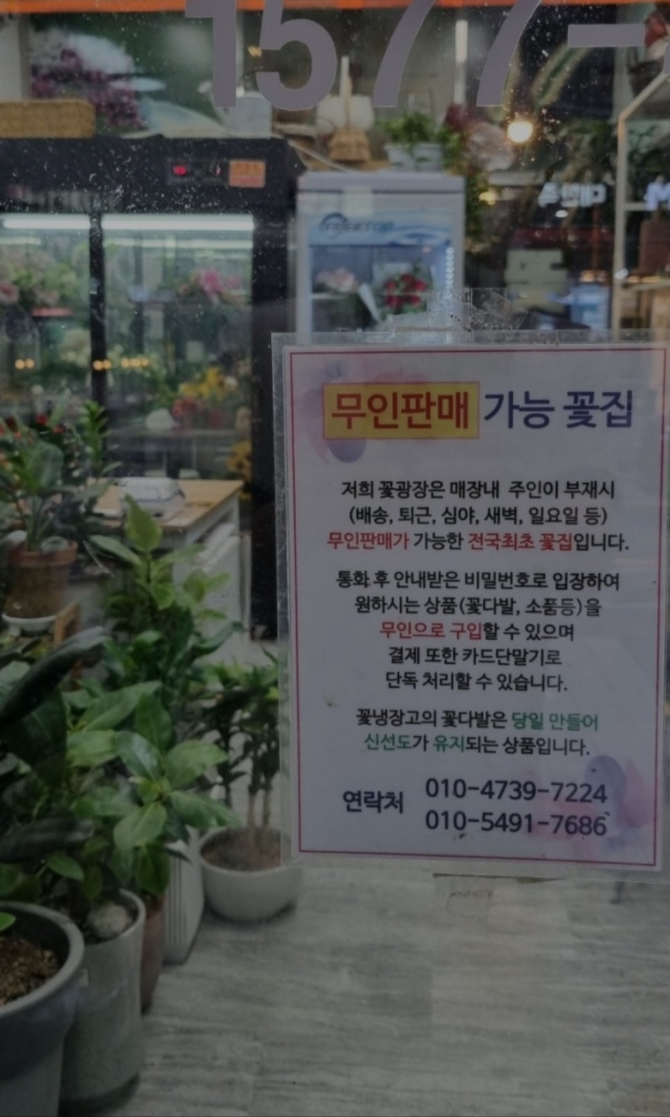 마곡꽃광장 이미지