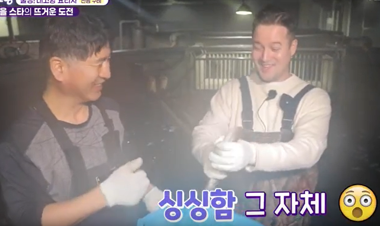 서동양만장 이미지