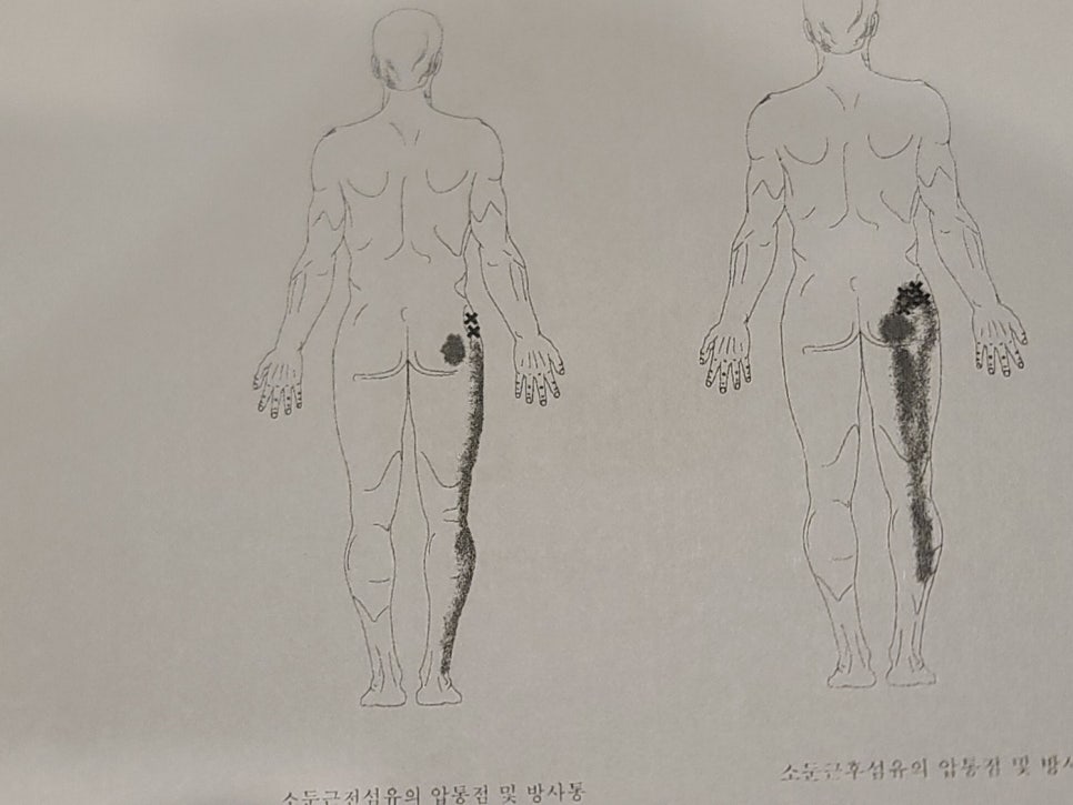 디디스포츠 이미지