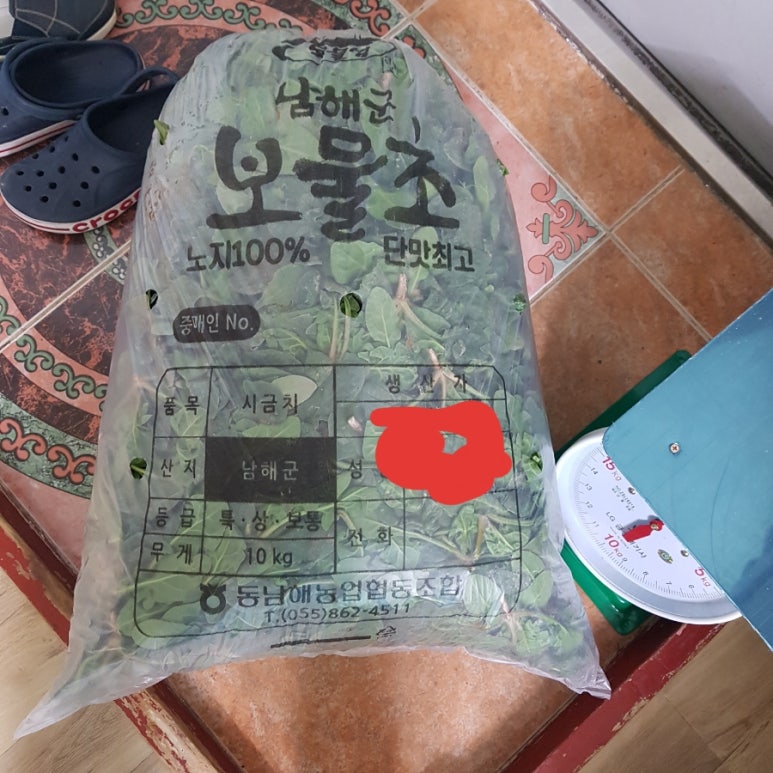 돈독 이미지