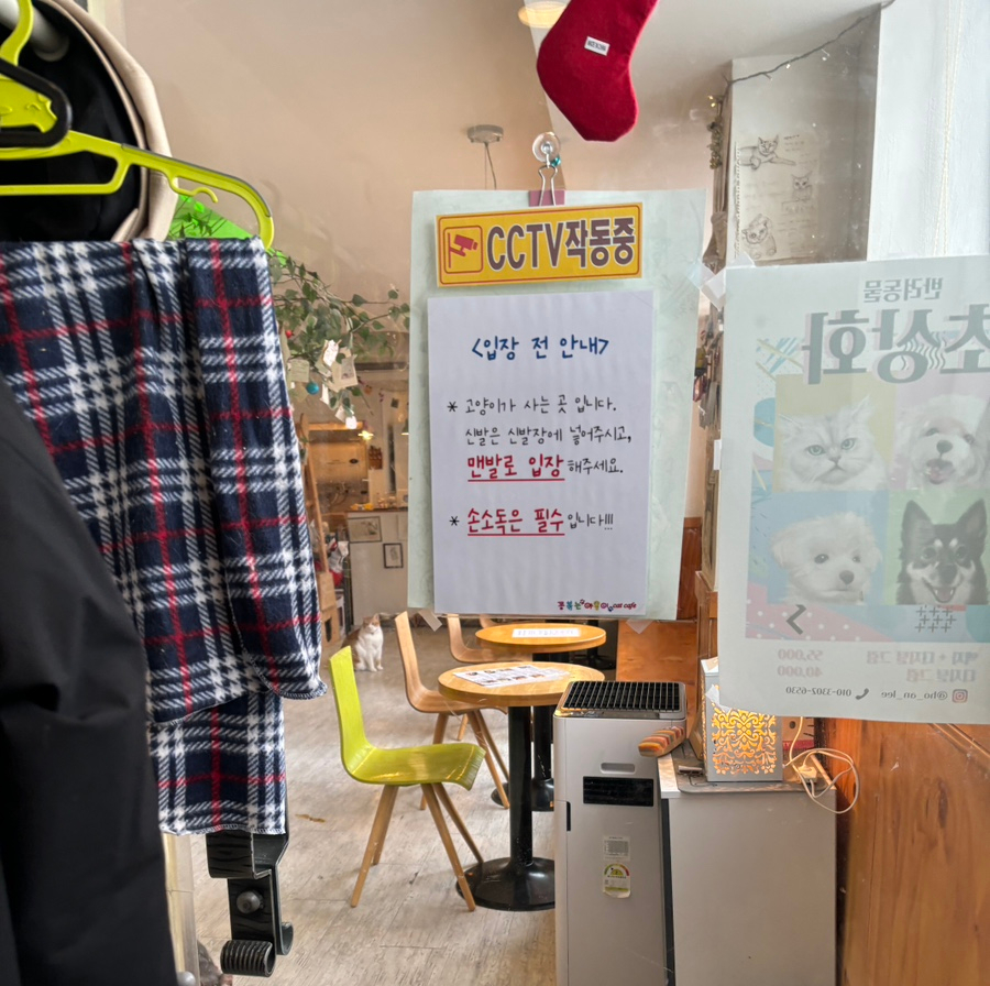 콩볶는야옹이 이미지