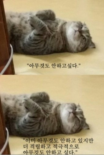 김공주 이미지