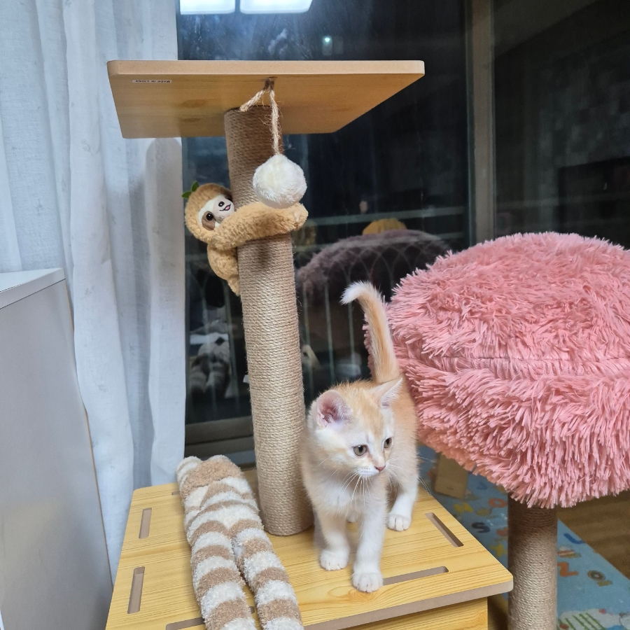 제로투나인 이미지