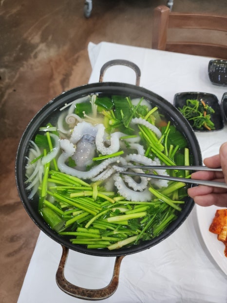 낙지대통령 이미지