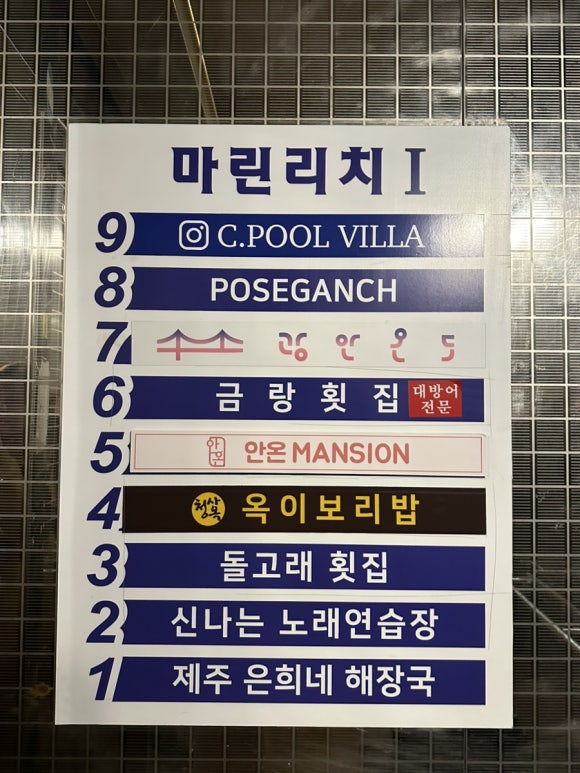 돌고래노래연습장 이미지