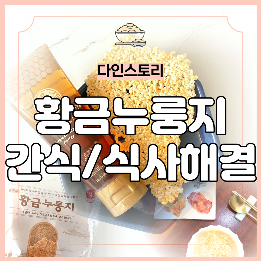 다인리코 이미지