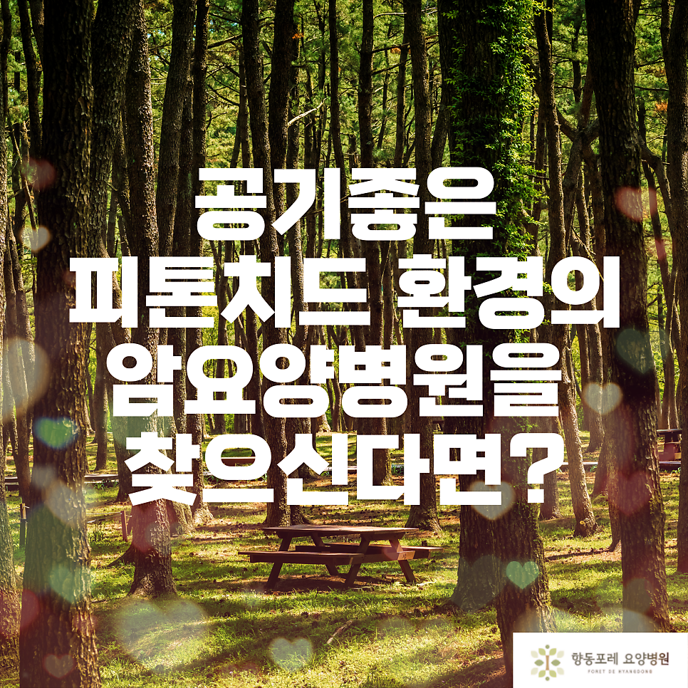 향동포레요양병원 이미지