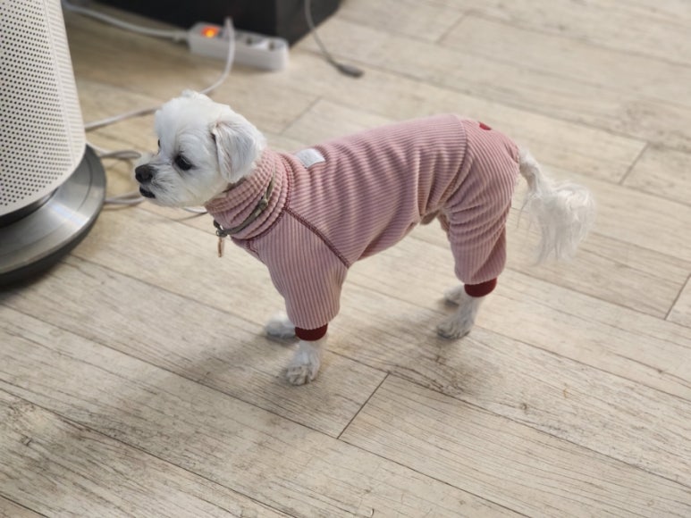 동이옷수선 이미지
