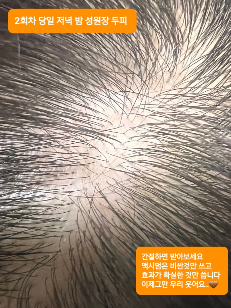 성원장 이미지