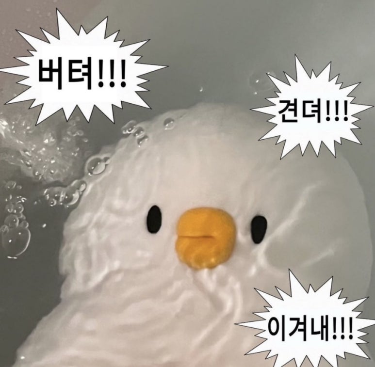 크로스핏헬벤트오창 이미지