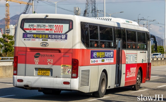 동진여객 이미지