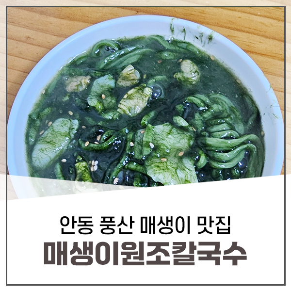 매생이원조 이미지