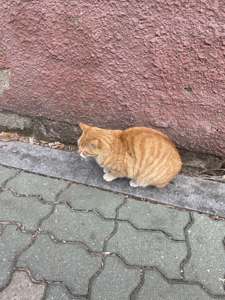 프라자손칼국수 이미지