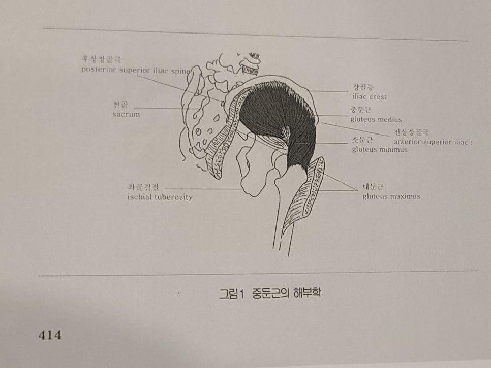 디디스포츠 이미지