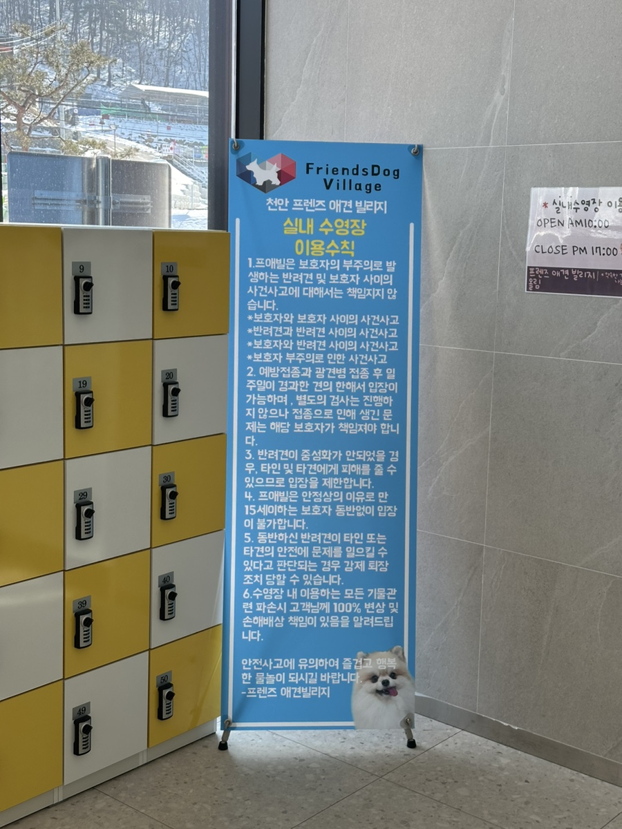 천안 프렌즈애견빌리지 독채 강아지 수영장 펜션 — 사진 18