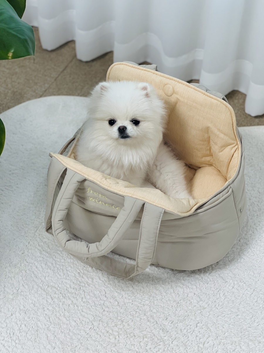 프롬위니 이미지