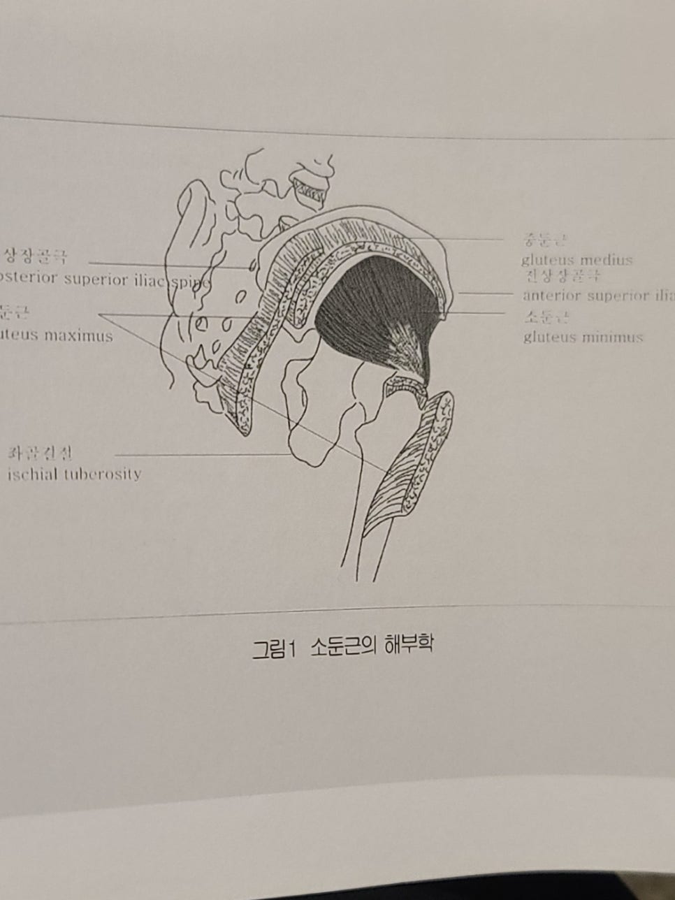디디스포츠 이미지