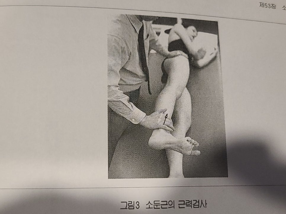 디디스포츠 이미지