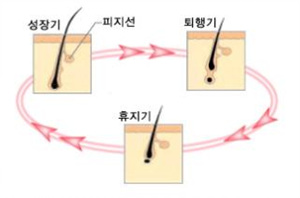 한결뷰티 이미지