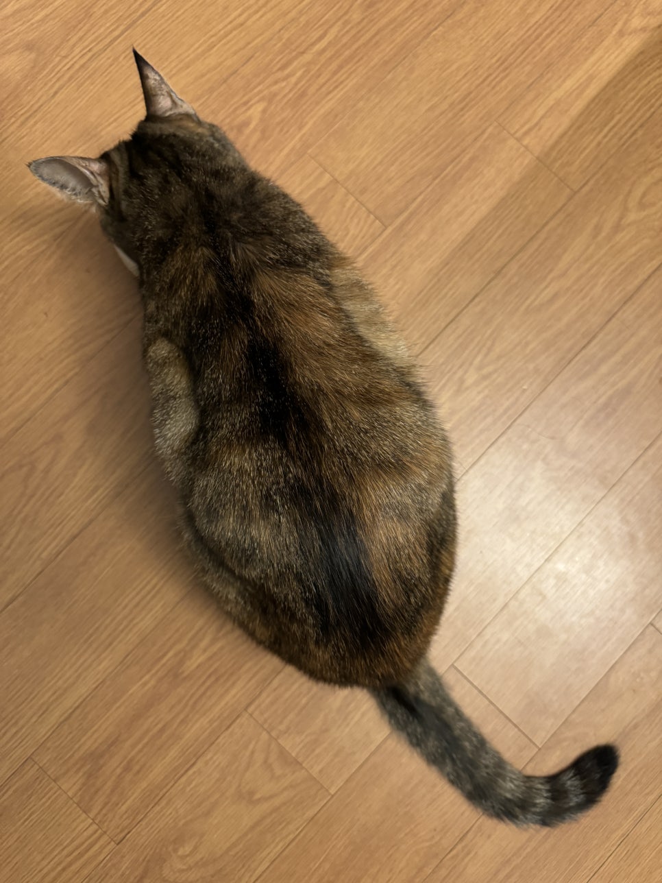 메가박스PC방 이미지