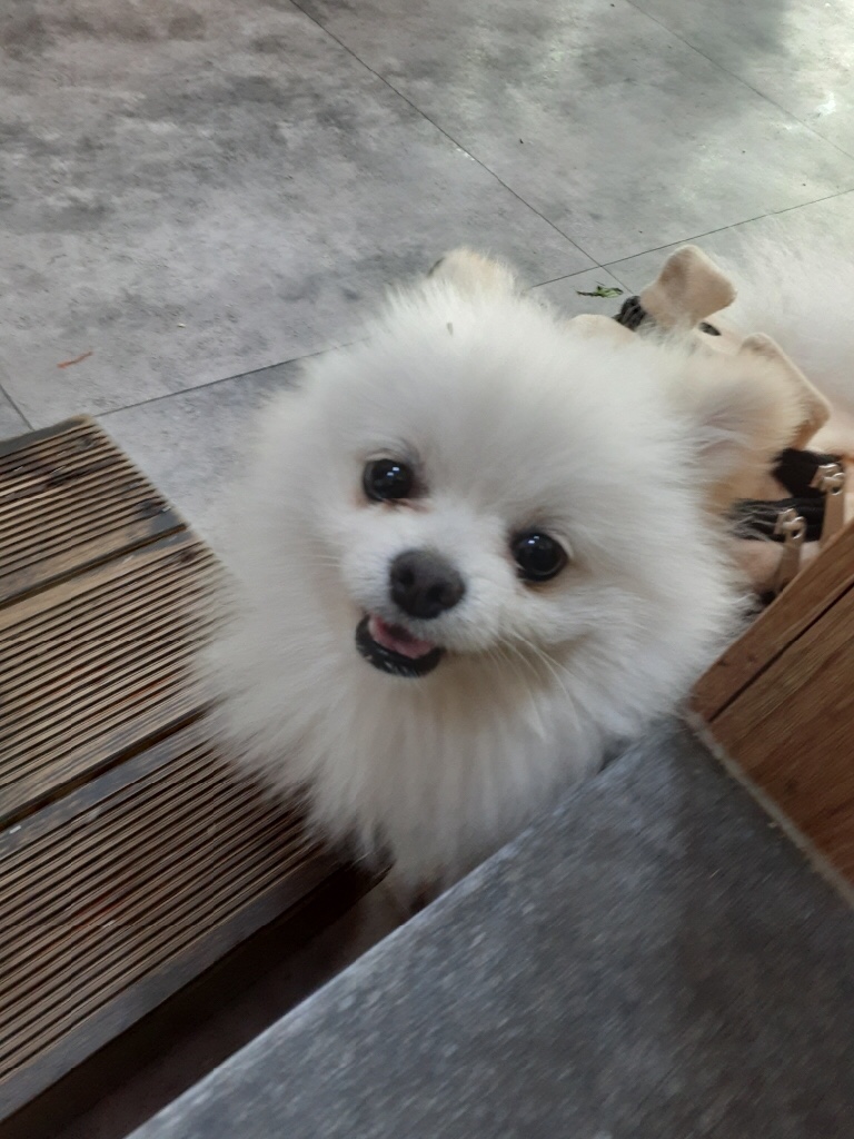 박*산 이미지