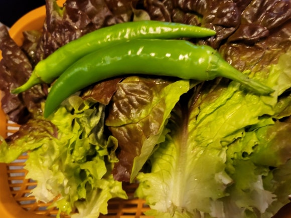 구공탄구이 이미지
