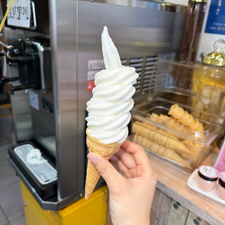 탐라도야지 이미지