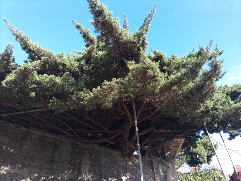 (주)스마일메디컬 이미지
