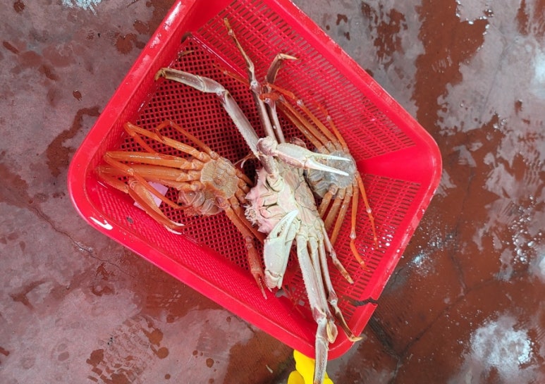 이준오수산 이미지