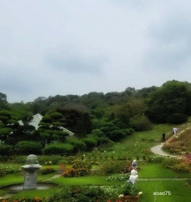 카페드모임 이미지