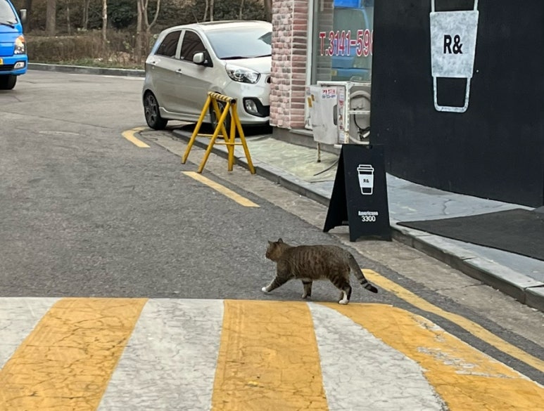 아뜰리에르플리 이미지