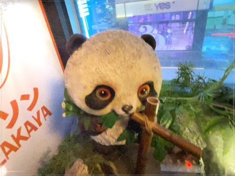 시선강남 이미지