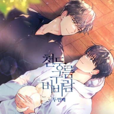 이씨디 이미지