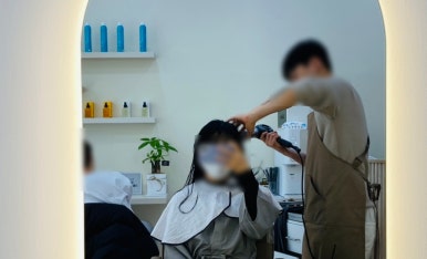 어니트 이미지