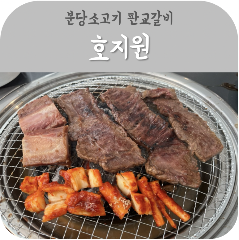 호지원 이미지