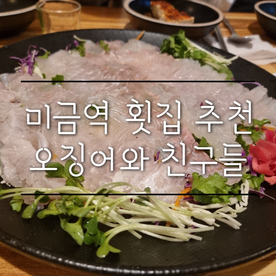 오징어 와 친구들 이미지