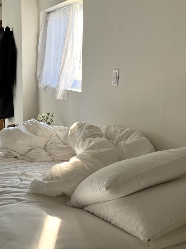 피스오브앙티브 이미지
