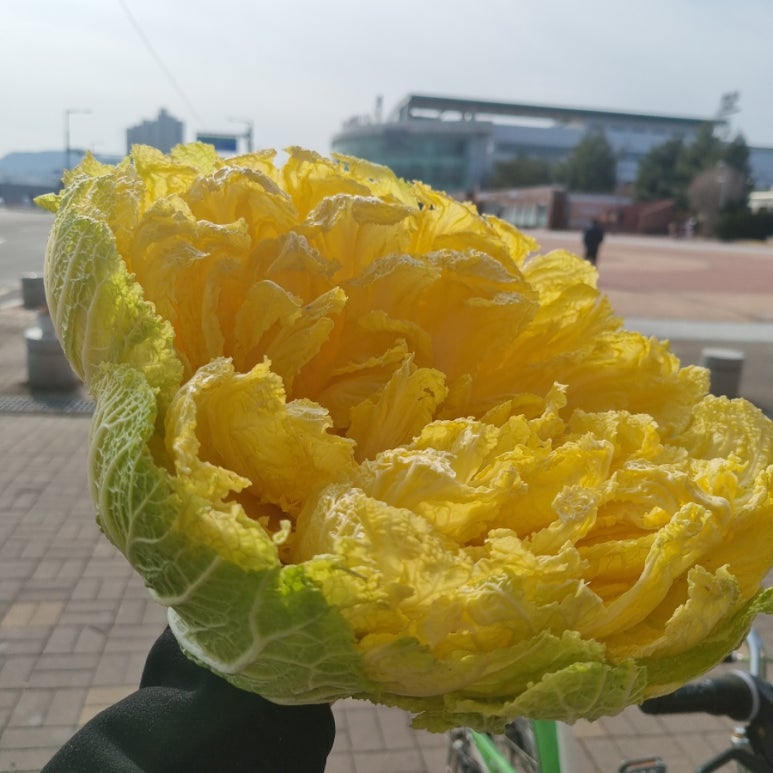 춘천역닭갈비 이미지