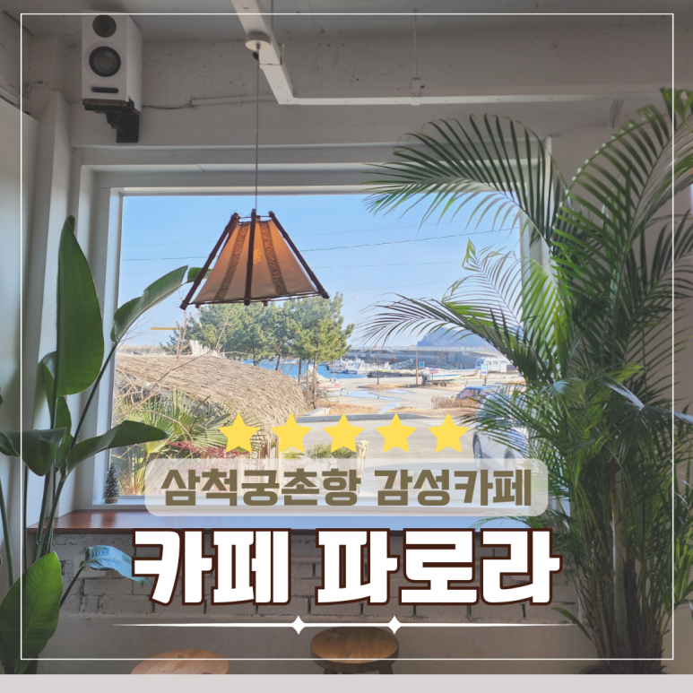 파로라 이미지
