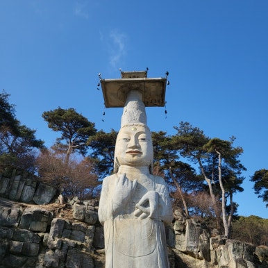 은진쭈꾸미 이미지